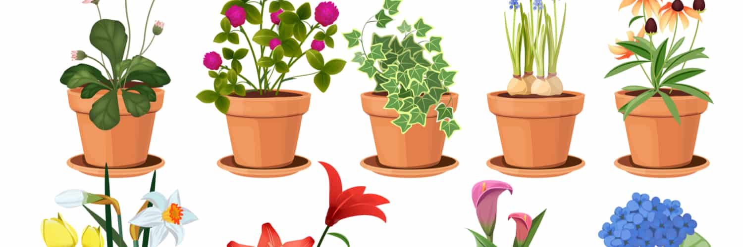 Flower Pots Bloomington IL | #1 Quality Gardening